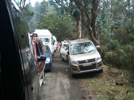 மேகமூட்டம், யானை நடமாட்டம்.. ஊட்டி செல்ல வாகன ஓட்டிகள் கடும் அவதி