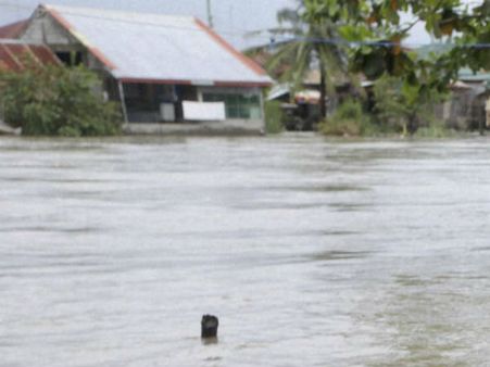மீண்டும் கடலூரைச் சூழ்ந்த வெள்ளம்.. மக்களை மீட்கும் பணியில் நேரடியாக குதித்த ககன்தீப் சிங் பேடி