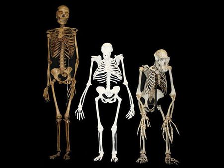 மறக்காமல் இந்த செய்திகளையும் படியுங்கள்...!