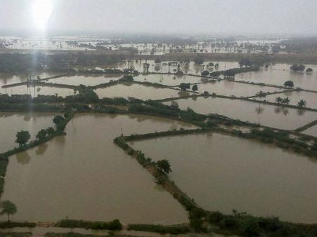 ஆந்திராமழையால் பாலாற்றில் வெள்ளம்: வேலூர், காஞ்சியில் சேதம் அதிகரிப்பு