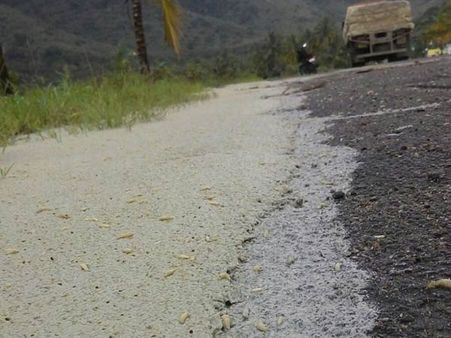 தமிழக-கேரள எல்லையில் உள்ள சோதனைச்சாவடி அருகே நோய் பரப்பும் கழிவுகளை கொட்டிய விஷமிகள்