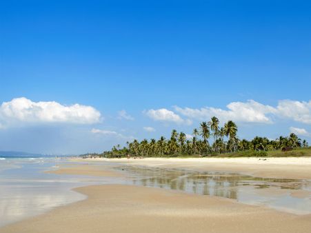 இந்தியா பக்கம் டூர் போய்விடாதீர்கள்.. ரஷ்ய எச்சரிக்கையால் கோவா சுற்றுலாவுக்கு பெரும் அடி