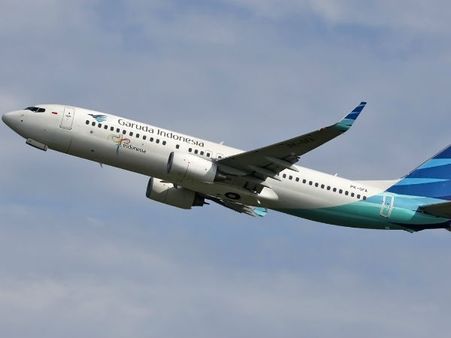 தம்மாத்தூண்டு தேனீயால் 4 மணி நேரம் விமானம் லேட்... 