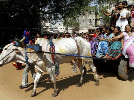 கயிறு இழுத்தல், கபடி போட்டிகள்.. தென்மாவட்ட பொங்கல் விழாக்களில் குதுகலம்