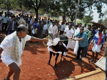 ஜல்லிக்கட்டுக்கு தடை: மதுரை ஆட்சியரிடம் வாக்காளர் அடையாள அட்டையை ஒப்படைக்க வந்த அலங்காநல்லூர் மக்கள்