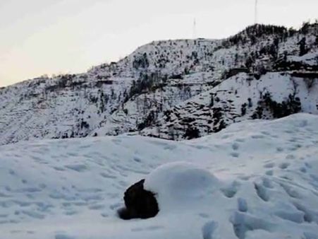 ஜப்பானில் கடும் பனிப்பொழிவு... 169 பேர் காயம் - 200 விமானங்கள் ரத்து.. கரண்ட் இல்லை!