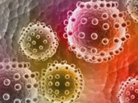 ஜிக்கா வைரஸ் இந்தியாவில் இல்லை, ஆனால் பரவினால்...: டாக்டர்கள் எச்சரிக்கை