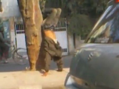 மோடி உத்தரவை மீறக் கூடாது... சின்சியராக விழுந்து, புரண்டு சாலையில் யோகா செய்த ‘குடி’மகன்!