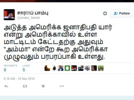 அமெரிக்க மாடும் 