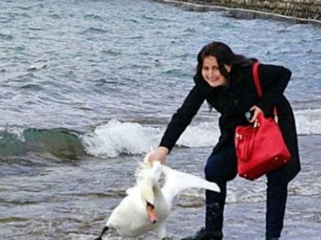 செல்பி மோகம்... ஏரியில் இருந்த அன்னப்பறவையை வெளியில் தூக்கி கொலை செய்த பெண்!