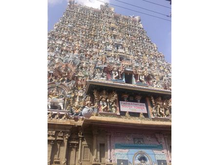 ”உண்ணா நோன்பிருந்து” உயிர் நீத்த நாரை- மதுரை மீனாட்சி கோவிலில் திரும்பிய சரித்திரம்!