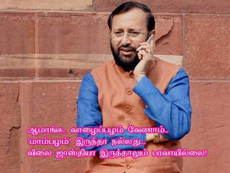 வாழைப்பழம் வேணாம்.. 'மாம்பழம்' இருந்தா நல்லது... விலை ஜாஸ்தியா இருந்தாலும் பரவாயில்லை! 