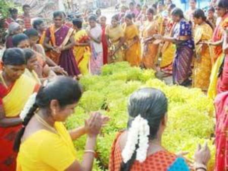 முளைப்பாரி, பறையிசை, உணவுத்திருவிழா, தெருவிழா... அமெரிக்காவில் தமிழ்ப் புத்தாண்டு!