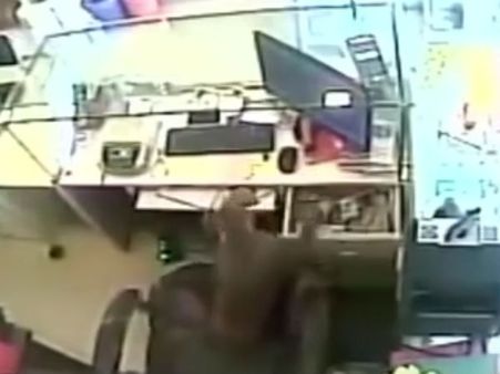 கொய்யாப்பழத்தை வீசிவிட்டு, நகைக் கடை கல்லாவில் இருந்து ரூ.10,000 பணத்தை திருடிய 'திருட்டு குரங்கு'!