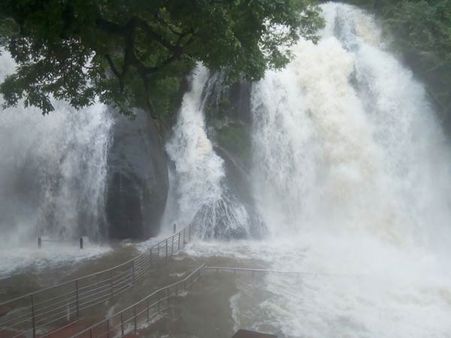 தென் மேற்குப் பருவமழை எதிரொலி.. குற்றாலம் அருவிகளில் வெள்ளப் பெருக்கு