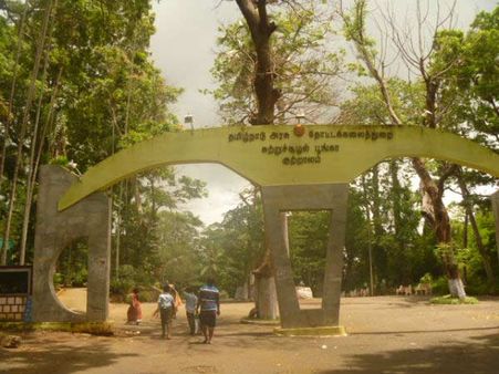குற்றாலத்தில் களை கட்டிய சீசன்- கவனிப்பாரற்று கிடக்கும் சுற்று சூழல் பூங்கா