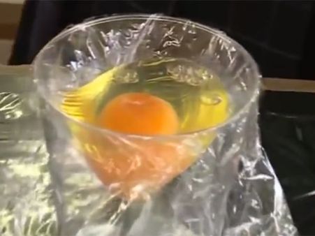 முட்டை ஓடு இல்லாமலும் கோழி குஞ்சு பொரியும்! ஜப்பான் மாணவிகளின் வைரல் வீடியோ