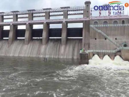 தெண்பெண்ணை அணையில் பராமரிப்பு பணி... விரைந்து முடிக்க பொதுமக்கள் கோரிக்கை - வீடியோ