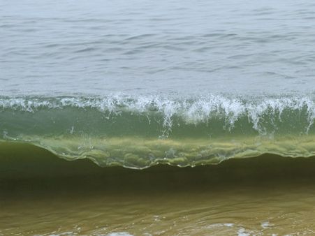 அடிக்கடி உள்வாங்கும் கடல்.. சுனாமி வருமோ என்ற பீதியில் சென்னை!