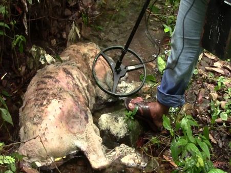 கேரள வனப்பகுதியில் அழுகிய நிலையில் ஆண் சிறுத்தை உடல் கண்டெடுப்பு