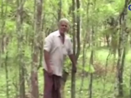 தோட்டத்தில் வளர்த்த சந்தன மரங்களை வெட்டிக் கடத்திய கும்பல்.. போலீஸ் வலைவீச்சு - வீடியோ