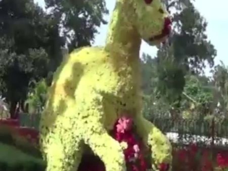 ஏற்காட்டில் தொடங்கியது மலர் கண்காட்சி.. பார்வையாளர்களை கவர்ந்த கங்காரு- வீடியோ