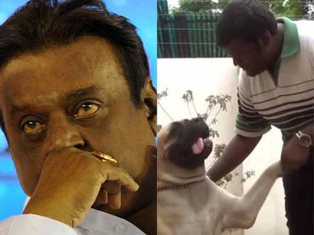 வளர்ப்பு நாய்க்கு 'கேப்டன்' பெயர் சூட்டி அழைப்பது யார் தெரியுமா? படிங்க.. பயங்கரமா அதிர்ந்துடுவீங்க