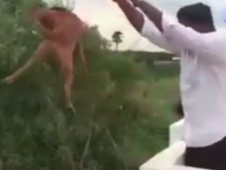 நாயை கொல்ல முயன்ற மாணவர்களை பெற்றோரே பிடித்து கொடுத்தனர்.. ஜாமீன் கிடைத்தது