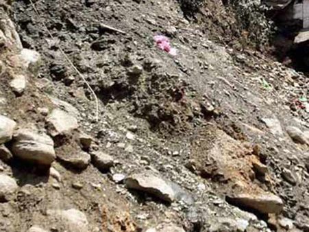 நெல்லை அருகே.. போலி ஆவணம் தயாரித்து அரசு நிலத்தையே ஆட்டைய போட முயன்ற பலே புரோக்கர் கைது!