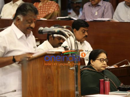 தமிழக பட்ஜெட்: அக்டோபரில் உள்ளாட்சித் தேர்தல்... ரூ.183.24 கோடி ஒதுக்கீடு