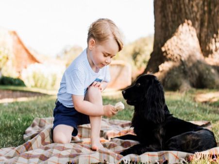நாய்க்கு ஐஸ் கிரீம் ஊட்டிய மகன்... சர்ச்சையில் சிக்கிய இங்கிலாந்து இளவரசர் !