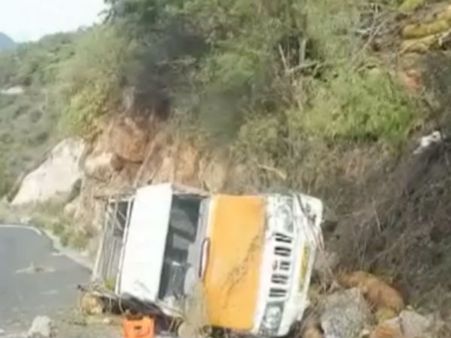 பலாப்பழம் ஏற்றி வந்த மினி லாரி பள்ளத்தில் கவிழ்ந்து விபத்து - வீடியோ