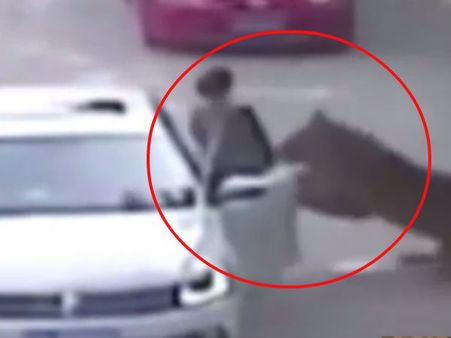 சீனா: உயிரியல் பூங்காவில் பெண்ணை தூக்கிச் சென்ற புலி - மீட்கப் போன தாய் பலி