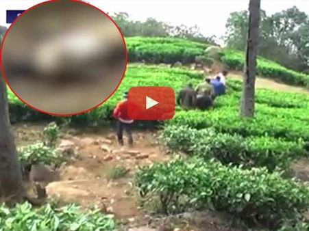 குன்னூரில் +2 முடித்த மாணவர் மர்மமான முறையில் மரணம்- வீடியோ