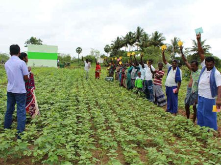 புதுக்கோட்டையில் ஒரு ‘பருப்பு பஞ்சாயத்து’!