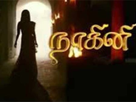 நிறுத்து, எல்லா டப்பிங் சீரியல்களையும் நிறுத்து..... ஆக. 14ல் தமிழ் டிவி கலைஞர்கள் உண்ணாவிரதம்!