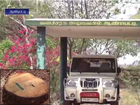 தேனி: வனச்சரக அலுவலக வளாகத்தில் கத்தி முனையில் சந்தன மரம் கடத்தல்- வீடியோ