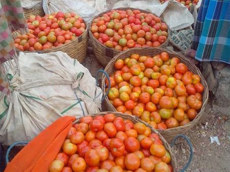 தக்காளி கிலோ ரூ. 10க்கு விற்பனை... குப்பையில் கொட்டும் விவசாயிகள்