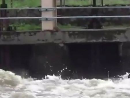 திறந்து விடப்பட்டது திருமூர்த்தி அணை... பாசனத்திற்கு நீர் கிடைத்ததால் விவசாயிகள் மகிழ்ச்சி- வீடியோ