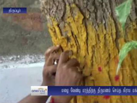 மழை வேண்டி நடந்த ‘வினோத’ திருமணம்... பேனர்ஸ், விருந்து என அமர்க்களப் படுத்திய மக்கள்- வீடியோ