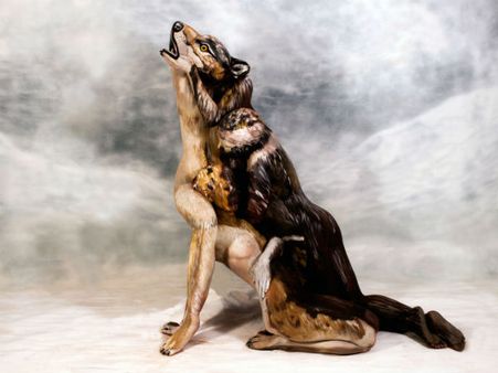 தவளை... ஓநாய்... மீன்... பச்சோந்தி.. நிர்வாண உடம்பில் வரைந்த ஓவியர்- வைரல் வீடியோ