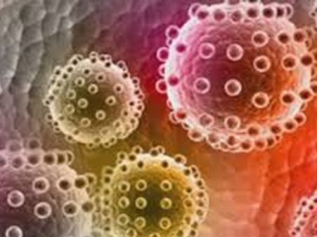 மீண்டும் உலகை மிரட்டும் 'ஜிக்கா' வைரஸ்.. 250 கோடி பேர் பாதிக்கபட வாய்ப்பு.. விஞ்ஞானிகள் எச்சரிக்கை