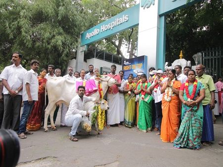 ஜெயலலிதா நலம் பெற வேண்டி... அப்பல்லோவில் கோமாதா பூஜை!