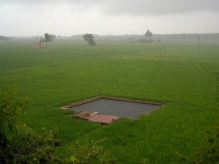 கர்நாடகத்தால் வறண்டு கிடக்கும் காவிரி டெல்டா மாவட்டங்களில் செம மழை!