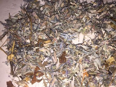 மூட்டை மூட்டையாக சாலையோரம் கிடந்த கிழிந்த ரூபாய் நோட்டுக்கள்.. சிபிசிஐடி விசாரணை