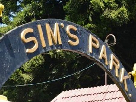 தேனிலவு பயணத்தில் விபரீதம்.. பாய்ந்து முட்டிய காட்டெருமை.. பெண் பலி.. கணவர் தப்பினார்