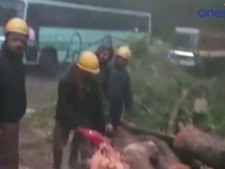 ராட்சத மரம் விழுந்து ஊட்டியில் 3 மணிநேரம் போக்குவரத்து பாதிப்பு: வீடியோ