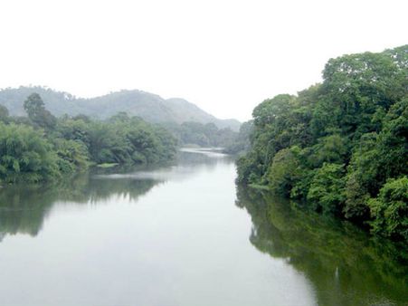 பெரியாற்றில் நீந்தப் போகும் ஐந்து வயது சிறுமி!