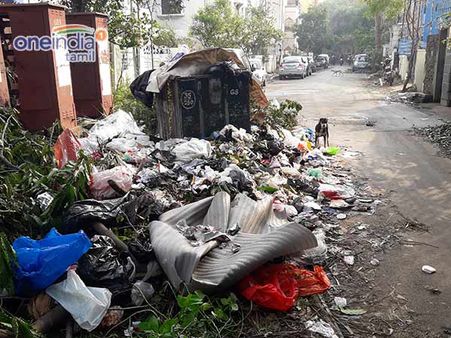 6 நாட்களாக அகற்றப்படாத குப்பை... நோய் தொற்றும் அபாயம்... அச்சத்தில் சென்னை மக்கள்