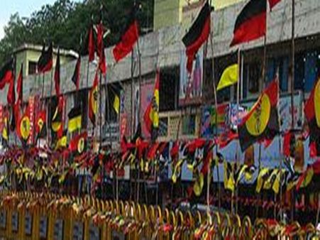 தேர்தல் பிரசாரத்தில் இனி பிளாஸ்டிக் கொடிகளை பயன்படுத்த கூடாது: பசுமை தீர்ப்பாயம் உத்தரவு